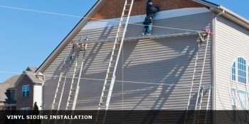 Siding Options for You
